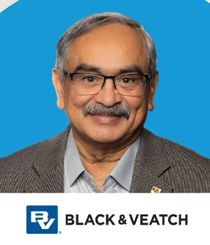 Javid Talib Vice President, Managing Director- Offshore & Marine Industry, Energy Resources Industries, Black & Veatch USA